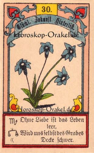 Die Lilien im Jungfrau Tageshoroskop heute