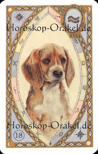 Der Hund, Jungfrau Monatshoroskop